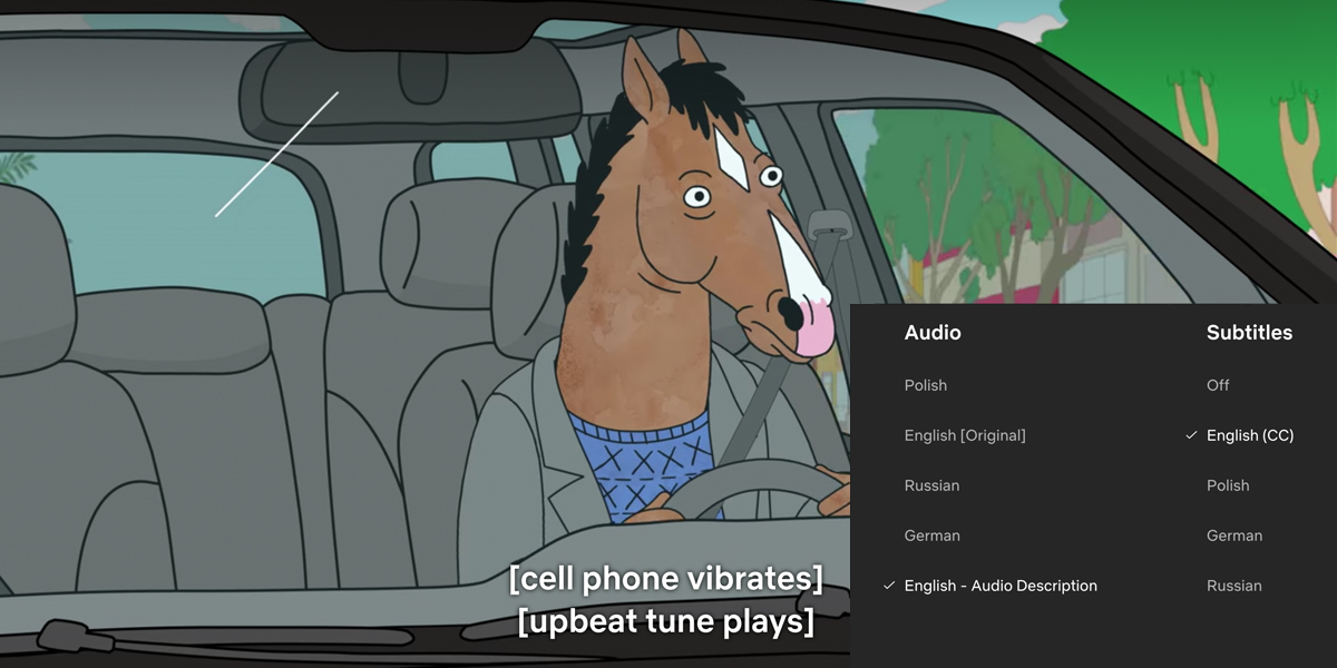wcag closed captions example