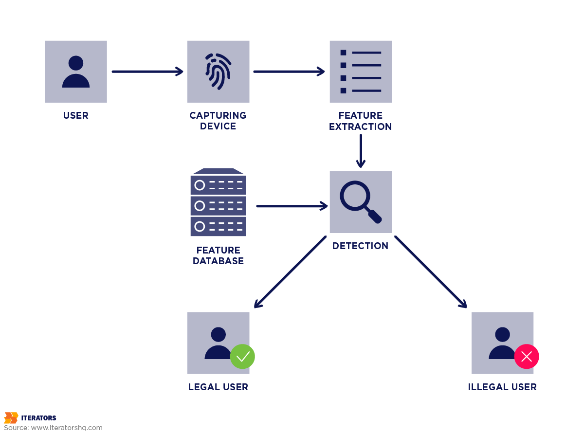 web authentication biometric based process