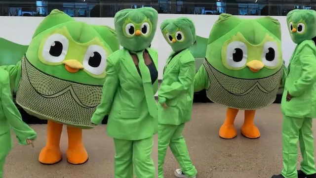company mascot duolingo owl